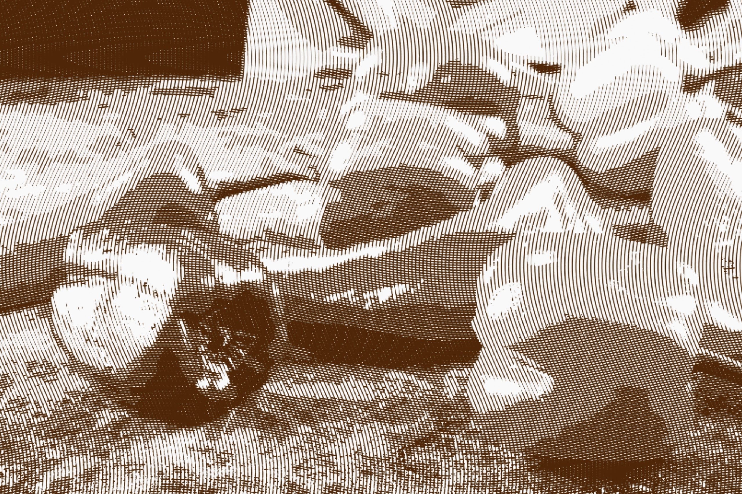 Как ближневосточный конфликт ударил по российскому рынку? Стоит ли ожидать подорожания продуктов? Как ближневосточный конфликт ударил по российскому рынку? Стоит ли ожидать подорожания продуктов?