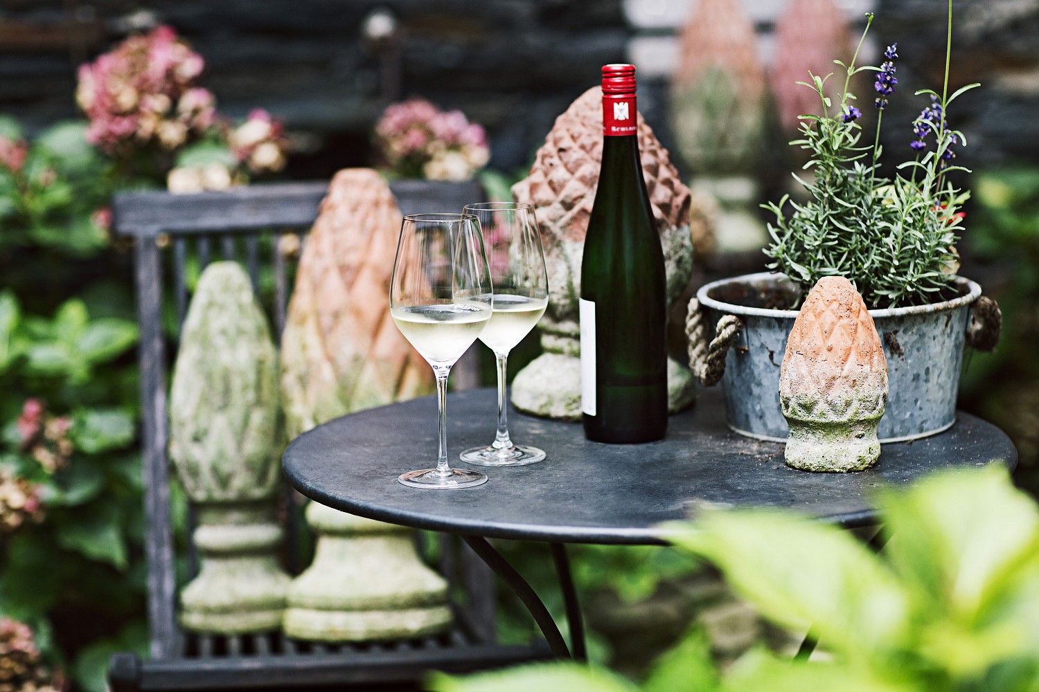 В июле в городах России пройдут «недели рислинга»